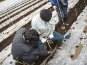 同一圃場での継続調査（3年間）のため、土壌採取を行いました。